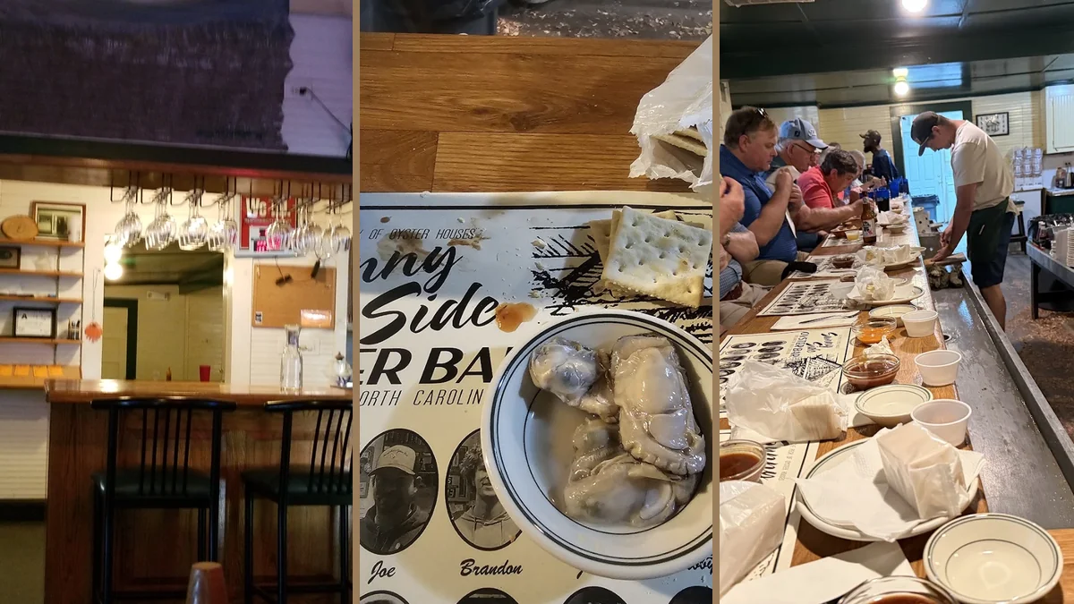 Fresh oysters served in a relaxed dining room.